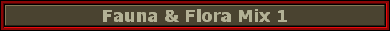 Fauna & Flora Mix 1